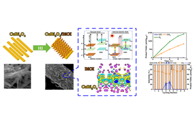 Construction of S-scheme CuBi2O4/BiOI heterojunction with oxygen vacancy for efficient photocatalytic CO2-to-CH4 conversion 2026.100913